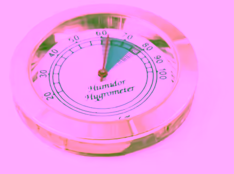 Hygrometer Model FH-106