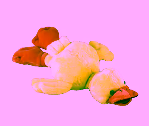 Slingshot Flying Duck