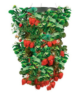 Vertical Grow Bag Strawberry Planter
