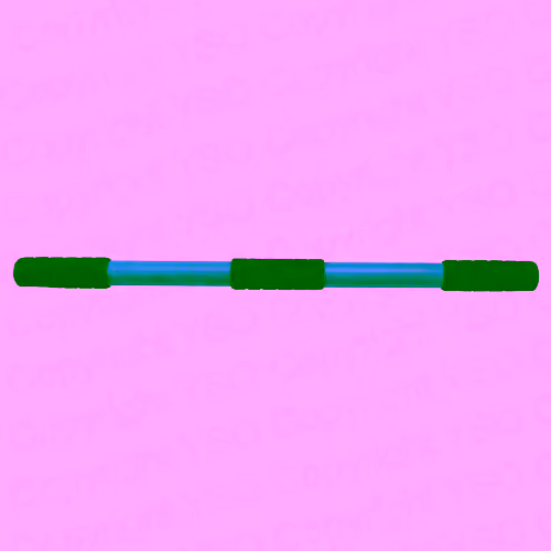  2010 Fitness Bar Muscle Toner