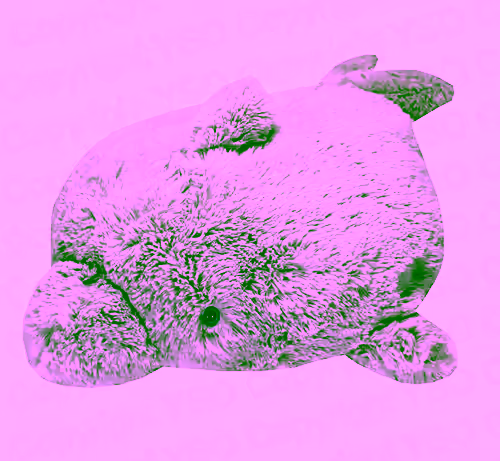 Pet Dolphin Animal Fold Up Pillow