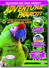 Pet Media Adventure Parrot DVD Volume 1: Backyard Fun