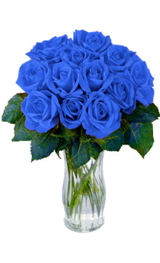 12 Blue Roses