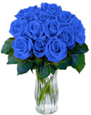 12 Blue Roses