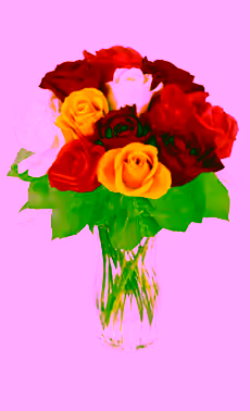 12 Mixed Roses