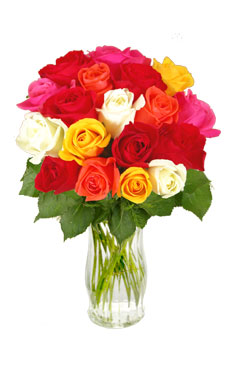 18 Mixed Roses