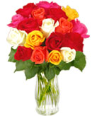 18 Mixed Roses