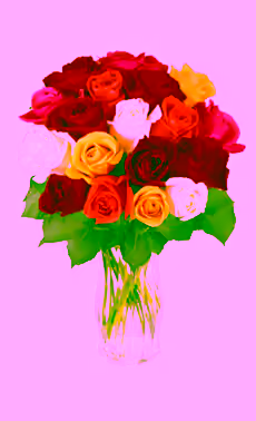 18 Mixed Roses