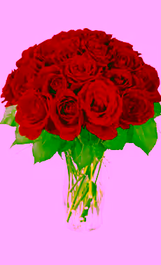 18 Red Roses