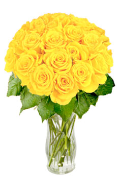 24 Yellow Roses