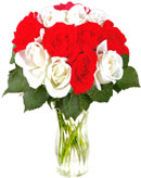 12 Red & White Roses