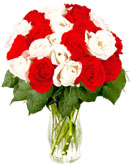 24 Red & White Roses