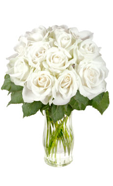 12 White Roses