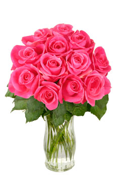 12 Pink Roses