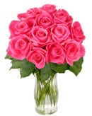 12 Pink Roses