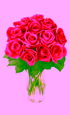12 Pink Roses