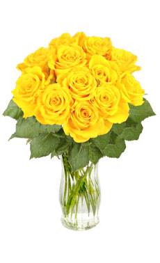 12 Yellow Roses