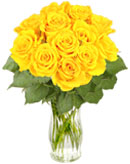 12 Yellow Roses
