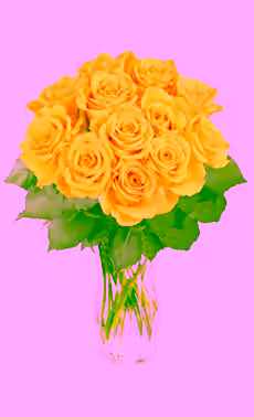 12 Yellow Roses
