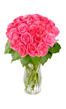 24 Pink Roses
