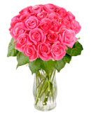 24 Pink Roses