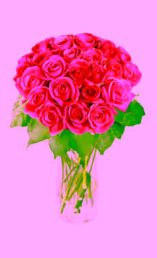 24 Pink Roses