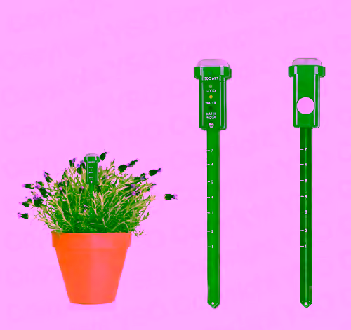 Light Up Indoor Plant Moisture Sensor