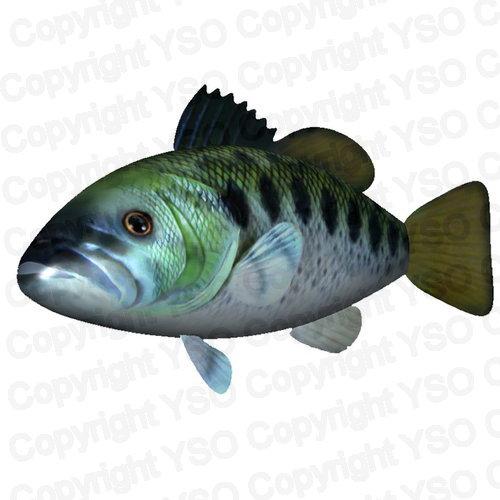 RC Flying Bass Swimmer