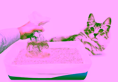 Lift, Sift And Toss Mesh Littler Liners - 15pc Deluxe Set