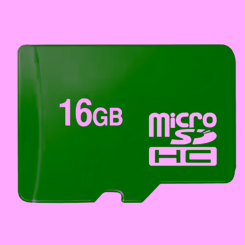 16 Gig Micro SD Card - Class 4