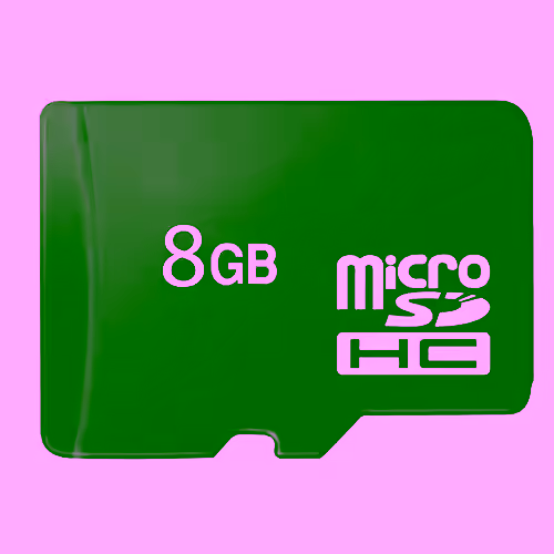 8 Gig Micro SD Card - Class 4