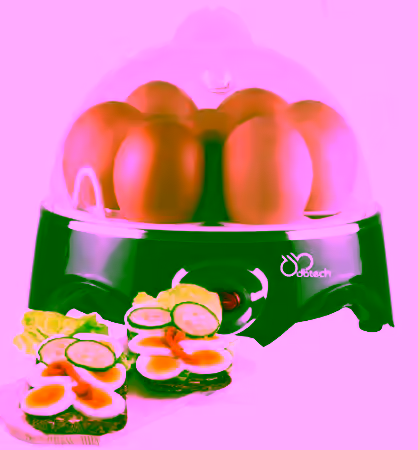 Electric Gourmet Egg Cooker - Auto Shut off