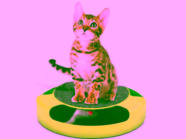 2 Mystery Motion Undercover Mouse Cat Toy