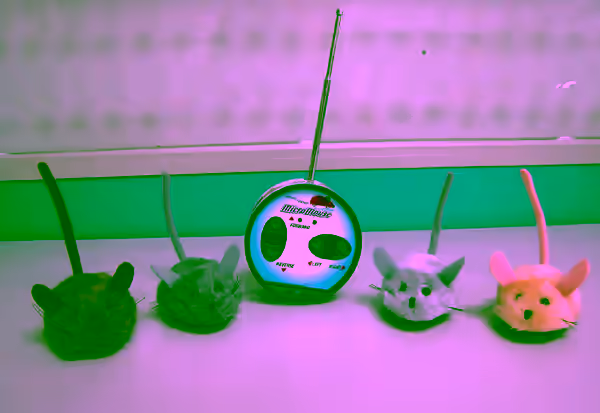 Remote Control Mouse Toy