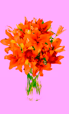 Orange Lilies
