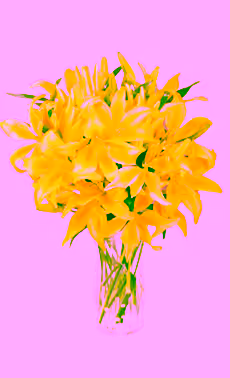 Yellow Lilies
