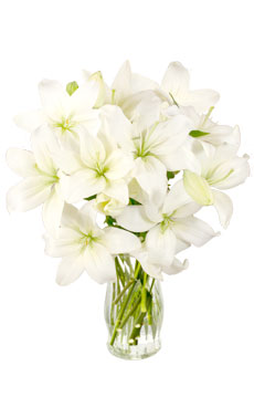 White Lilies