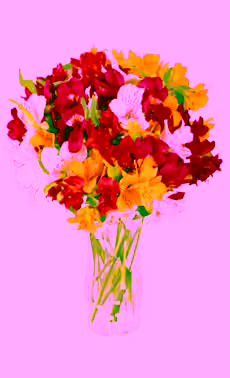 Deluxe Alstroemeria
