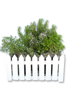 Picket Fence Herb Box