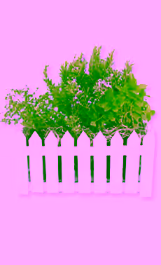 Picket Fence Herb Box