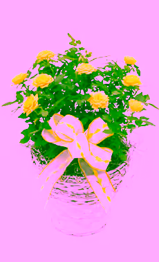 Miniature Rose in Basket