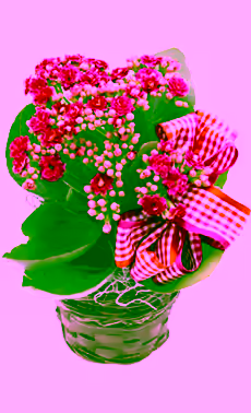 Calendiva in 4-inch Basket