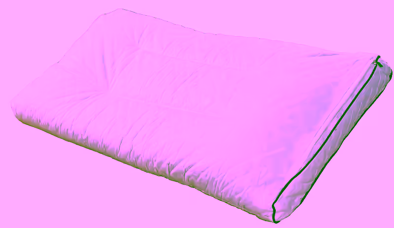 2 - 100% Organic Buckwheat Deluxe Pillow 