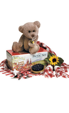 Teddy Bear Picnic