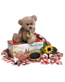 Teddy Bear Picnic