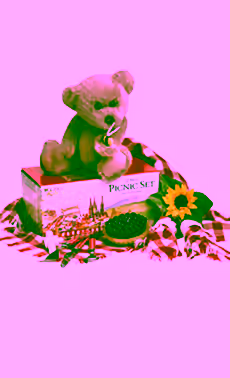 Teddy Bear Picnic