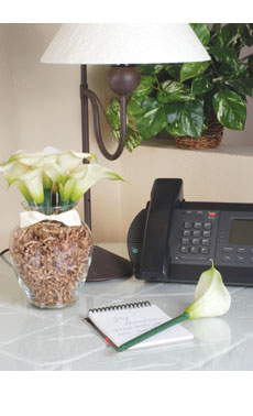 8 Calla Lilies in Glass Vase