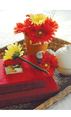 Red, Orange & Yellow Dewdrop Daisy Pens