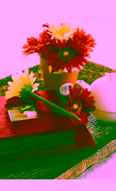 Red, Orange & Yellow Dewdrop Daisy Pens