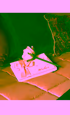 Wishes Journal with Flower Pen